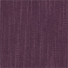 Abbey Plum